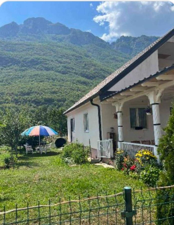 Lola Guest House Vusanje Экстерьер фото